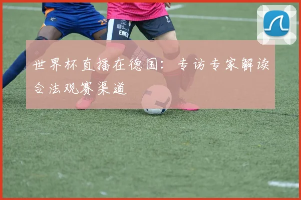 世界杯直播在德国：专访专家解读合法观赛渠道